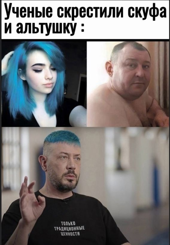 Ученые скрестили скуфа и альтушку :