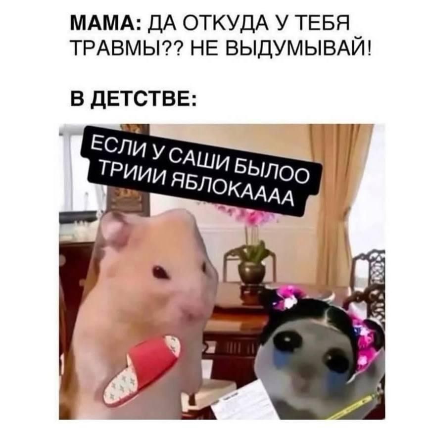 МАМА: ДА ОТКУДА У ТЕБЯ ТРАВМЫ?? НЕ ВЫДУМЫвай!\nВ ДЕТСТВЕ:\nЕСЛИ У САШИ БЫЛО ТРИЙ ЯБЛОКААА