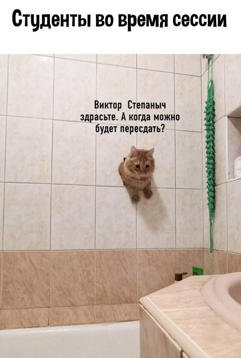 Студенты во время сессии
Виктор Степанич здрасте. А когда можно будет пересдать?