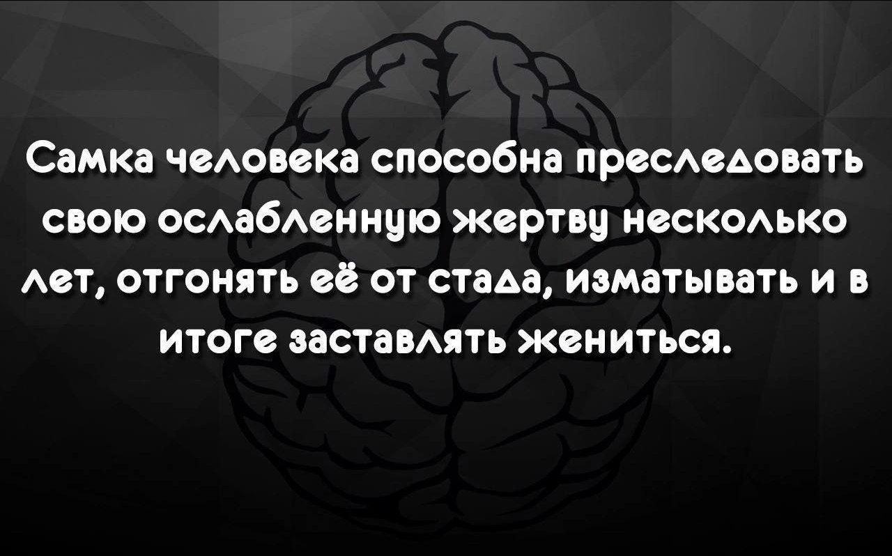 Самка человека способна преследовать свою ослабленную жертву несколько лет, отгонять её от стада, изматывать и в итоге заставлять жениться.