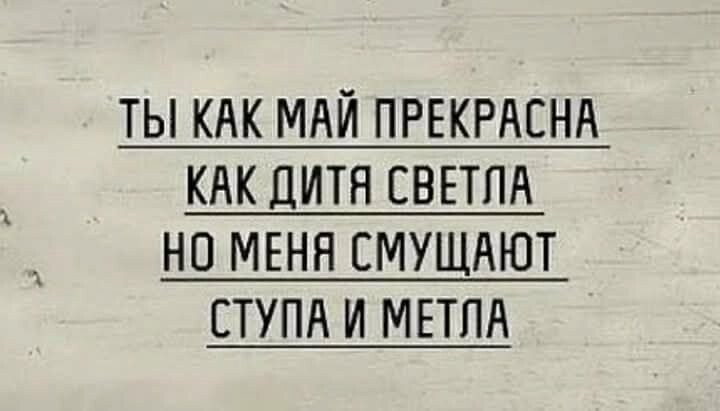 ТЫ КАК МАЙ ПРЕКРАСНА
КАК ДИТЯ СВЕТЛА
НО МЕНЯ СМУЩАЮТ
СТУПА И МЕТЛА