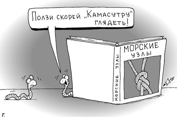 Ползи скорей «Камасутру» глядет!
МОРСКИЕ УЗЛЫ
морские узлы