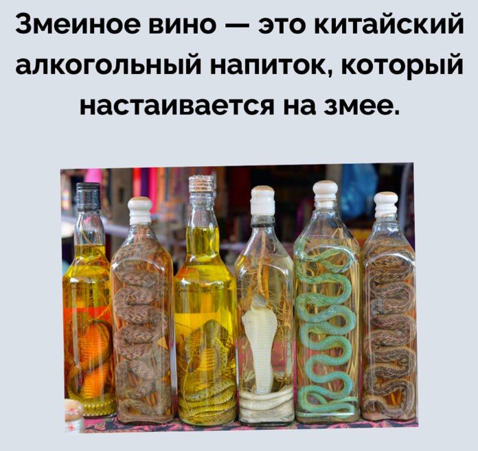 Змеинное вино — это китайский алкогольный напиток, который настаивается на змее.