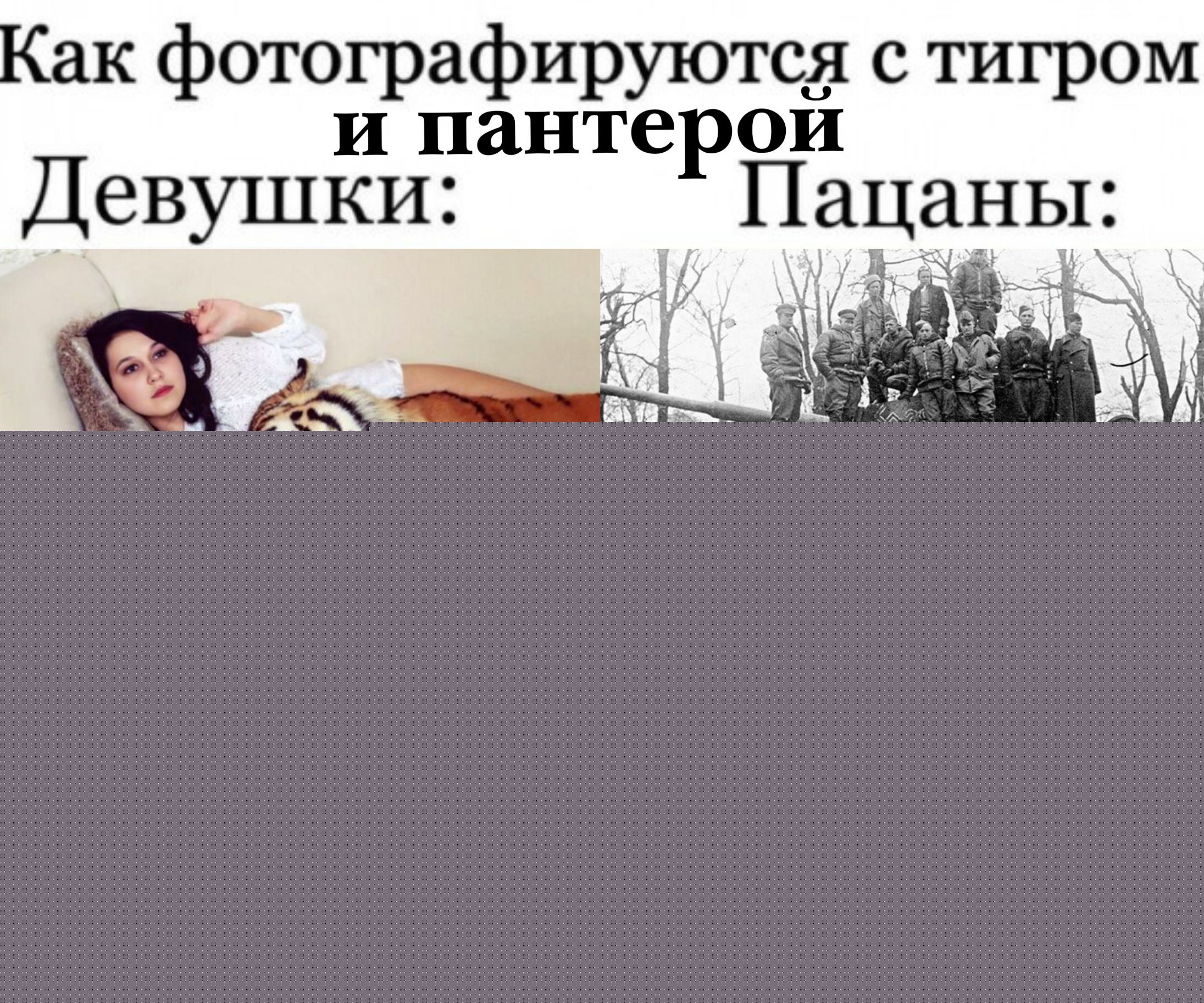 Как фотографируются с тигром и пантерой\nДевушки:\nПацаны: