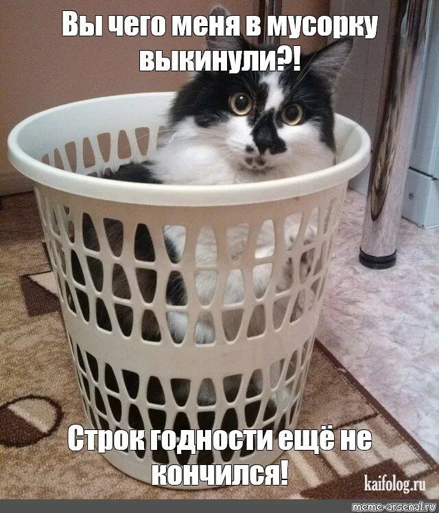 Вы чего меня в мусорку выкинули?! Строк годности ещё не кончился!