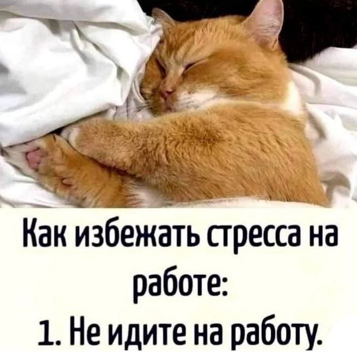 Как избежать стресса на работе:
1. Не идите на работу.