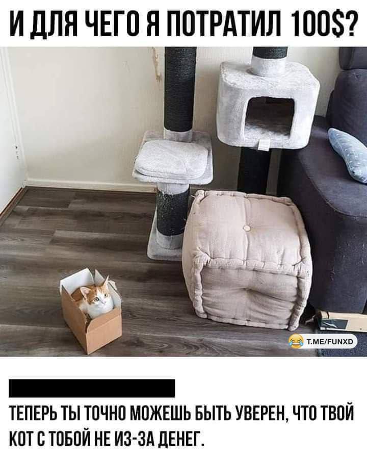 И ДЛЯ ЧЕГО Я ПОТРАТИЛ 100$? 
ТЕПЕРЬ ТЫ ТОЧНО МОЖЕШЬ БЫТЬ УВЕРЕН, ЧТО ТВОЙ КОТ С ТОБОЙ НЕ ИЗ-ЗА ДЕНЕГ.