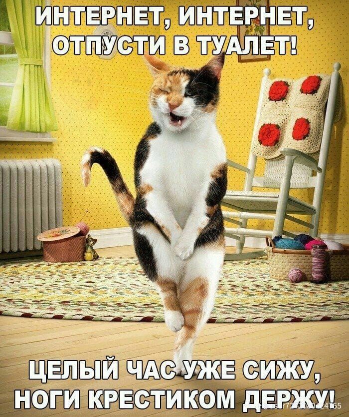 ИНТЕРНЕТ, ИНТЕРНЕТ, ОТПУСТИ В ТУАЛЕТ!
ЦЕЛЫЙ ЧАС УЖЕ СИЖУ, НОГИ КРЕСТИКОМ ДЕРЖУ!