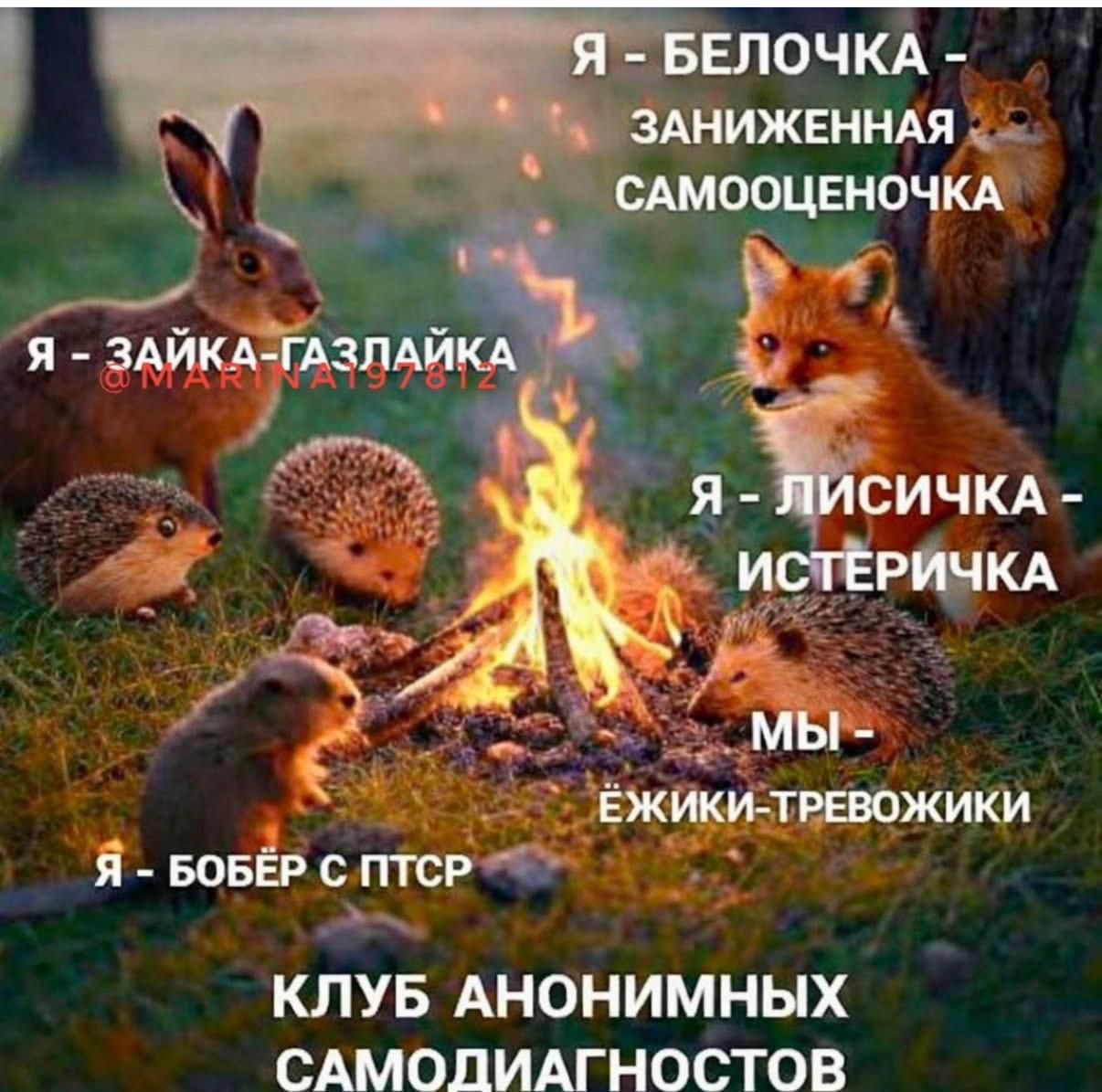 Я – БЕЛОЧКА – ЗАНИЖЕННАЯ САМООЦЕНОЧКА
Я – ЗАЙКА-ГАЗЛАЙКА
Я – ЛИСИЧКА – ИСТЕРИЧКА
МЫ – ЕЖИКИ-ТРЕВОЖИКИ
Я – БОБЕР С ПТСР
КЛУБ АНОНИМНЫХ САМОДиАГНОСТОВ