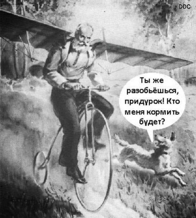 Ты же разбобьёшься, придурок! Кто меня кормить будет?