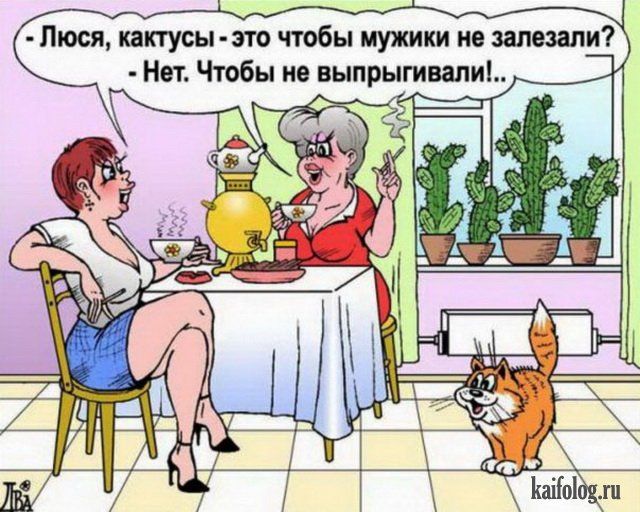 -Люся, кактусы - это чтобы мужики не залезали? -Нет. Чтобы не выпрыгивали!