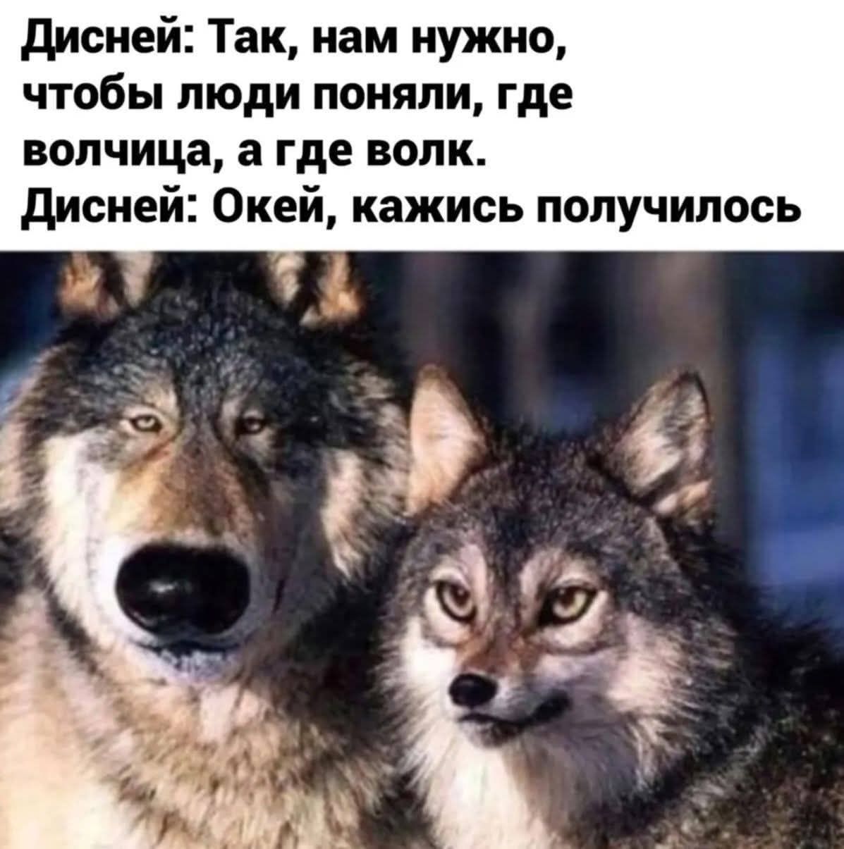 Дисней: Так, нам нужно, чтобы люди поняли, где волчица, а где волк. Дисней: Окей, кажется получилось