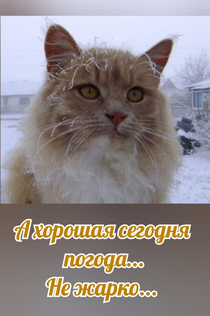 А хорошая сегодня погода... Не жарко...