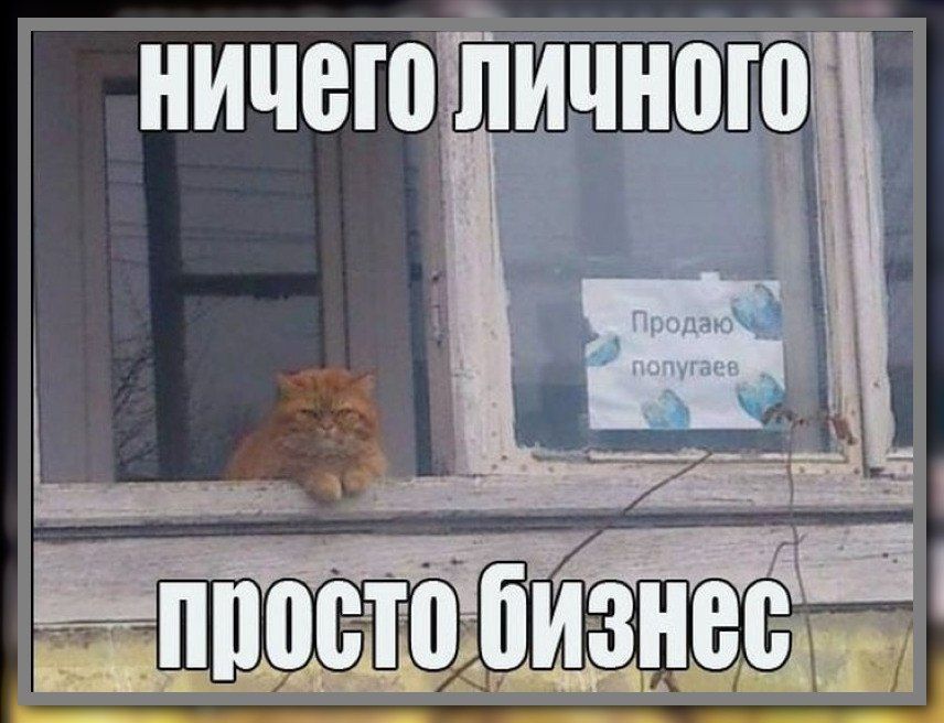 ничего личного
просто бизнес