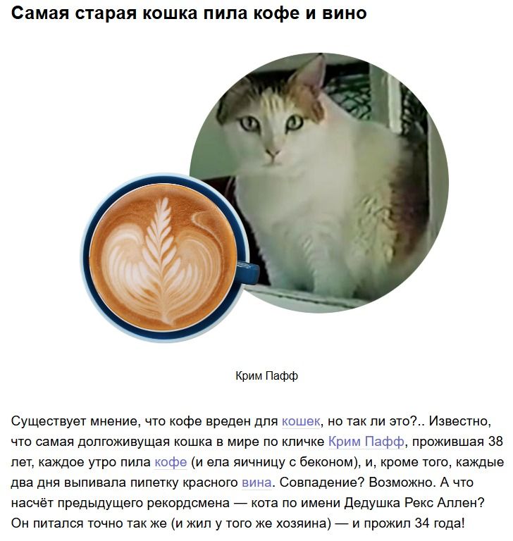 Самая старая кошка пила кофе и вино

Крим Пафф

Существует мнение, что кофе вреден для кошек, но так ли это?.. Известно, что самая долговая кошка в мире по кличке Крим Пафф, проживающая 38 лет, каждые утро пила кофе (или яйца с беконом), и вроде того, что два дня выпивала красного вина. Совпадение? Возможно. А что насчёт кота по имени Рекс Аллен? —