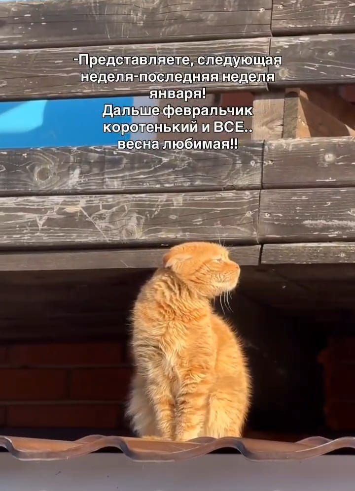 -Представляете, следующая неделя - последняя неделя января! Дальше февральчик коротенький и ВСЕ.. весна любимая!!