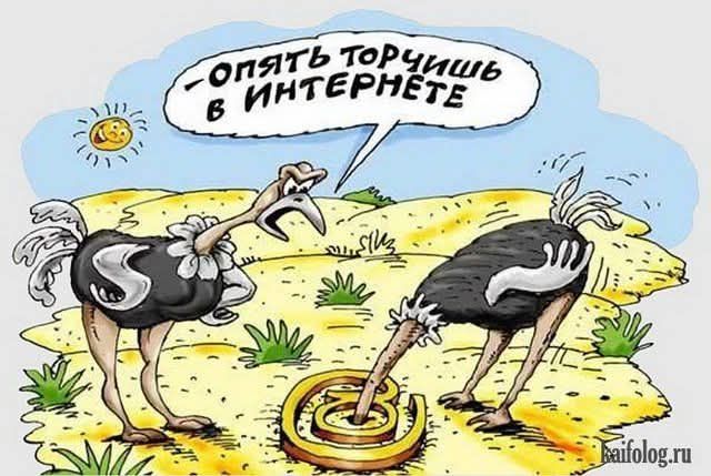 Опять торчишь в интернете