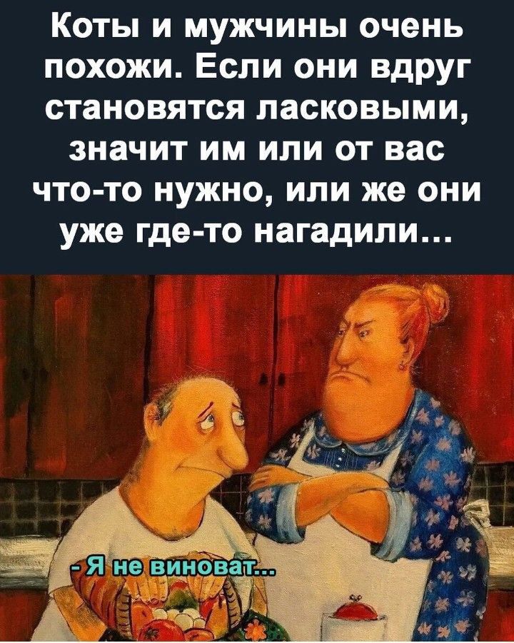 Коты и мужчины очень похожи. Если они вдруг становятся ласковыми, значит им или от вас что-то нужно, или же они уже где-то нагадили...\n- Я не виноват...