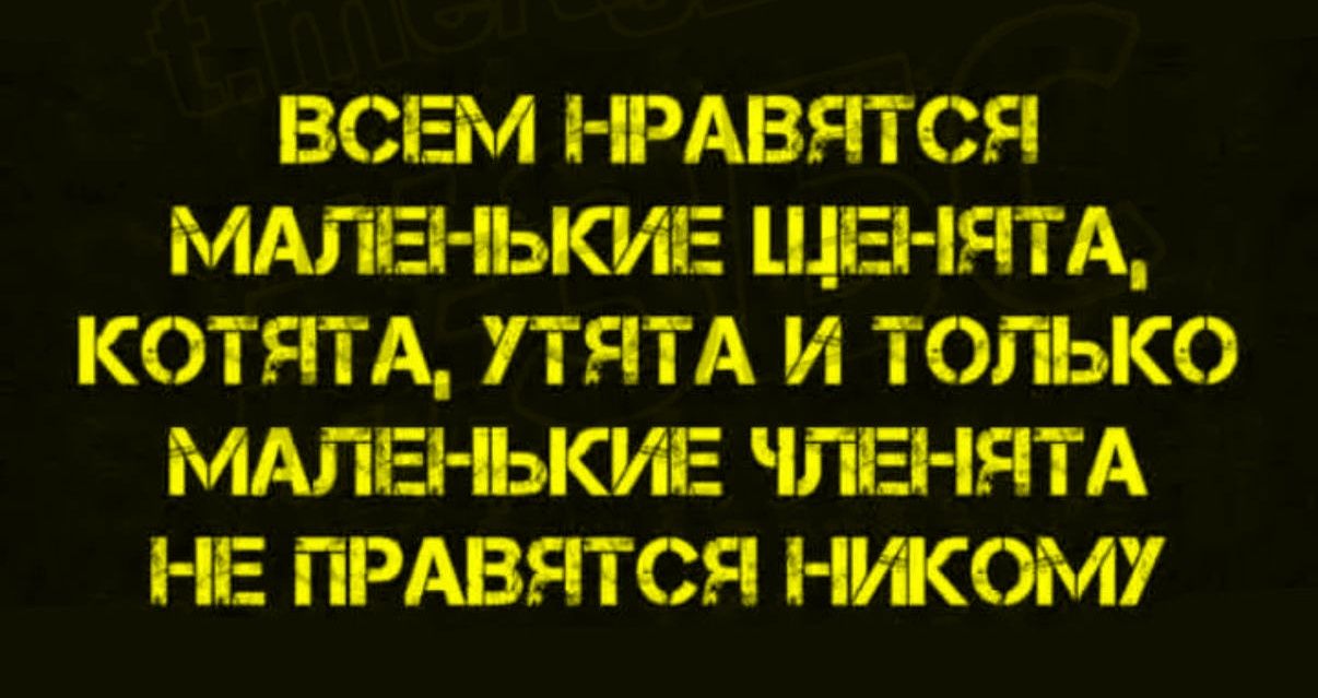 ВСЕМ НРАВИТСЯ МАЛЕНЬКИЕ ЦЕН-НЯТА, КОТЯТА, УТЯТА И ТОЛЬКО МАЛЕНЬКИЕ УЧЕНЯТА НЕ ПРАВЯТСЯ НИКОМУ