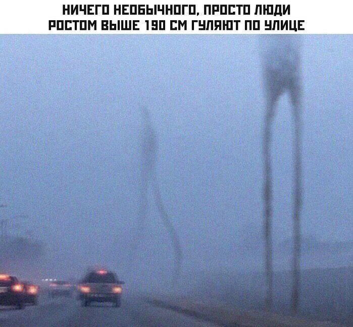 НИЧЕГО НЕОБЫЧНОГО, ПРОСТО ЛЮДИ РОСТОМ ВЫШЕ 190 СМ С ГУЛЯЮТ ПО УЛИЦЕ