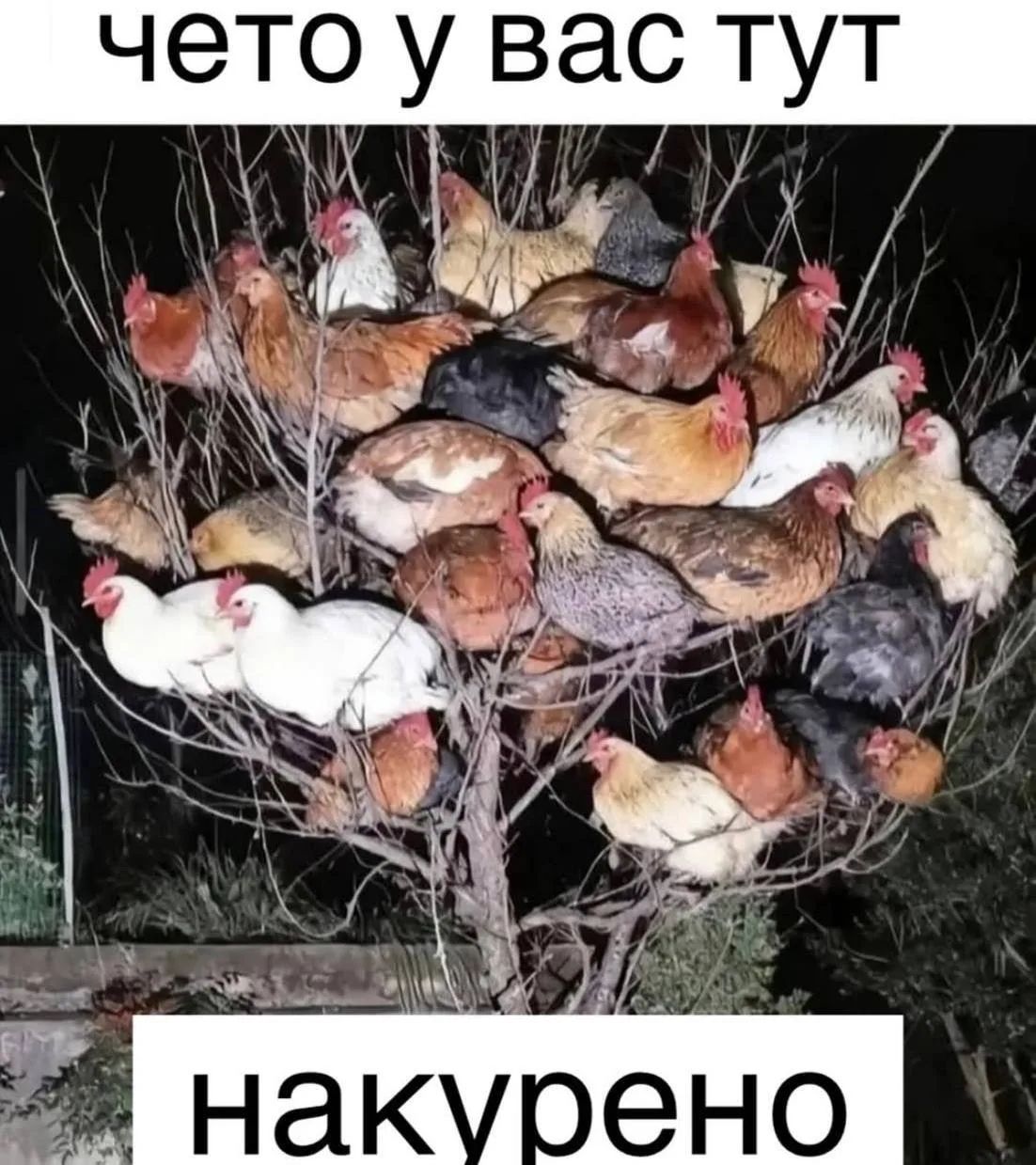 чето у вас тут
накурено