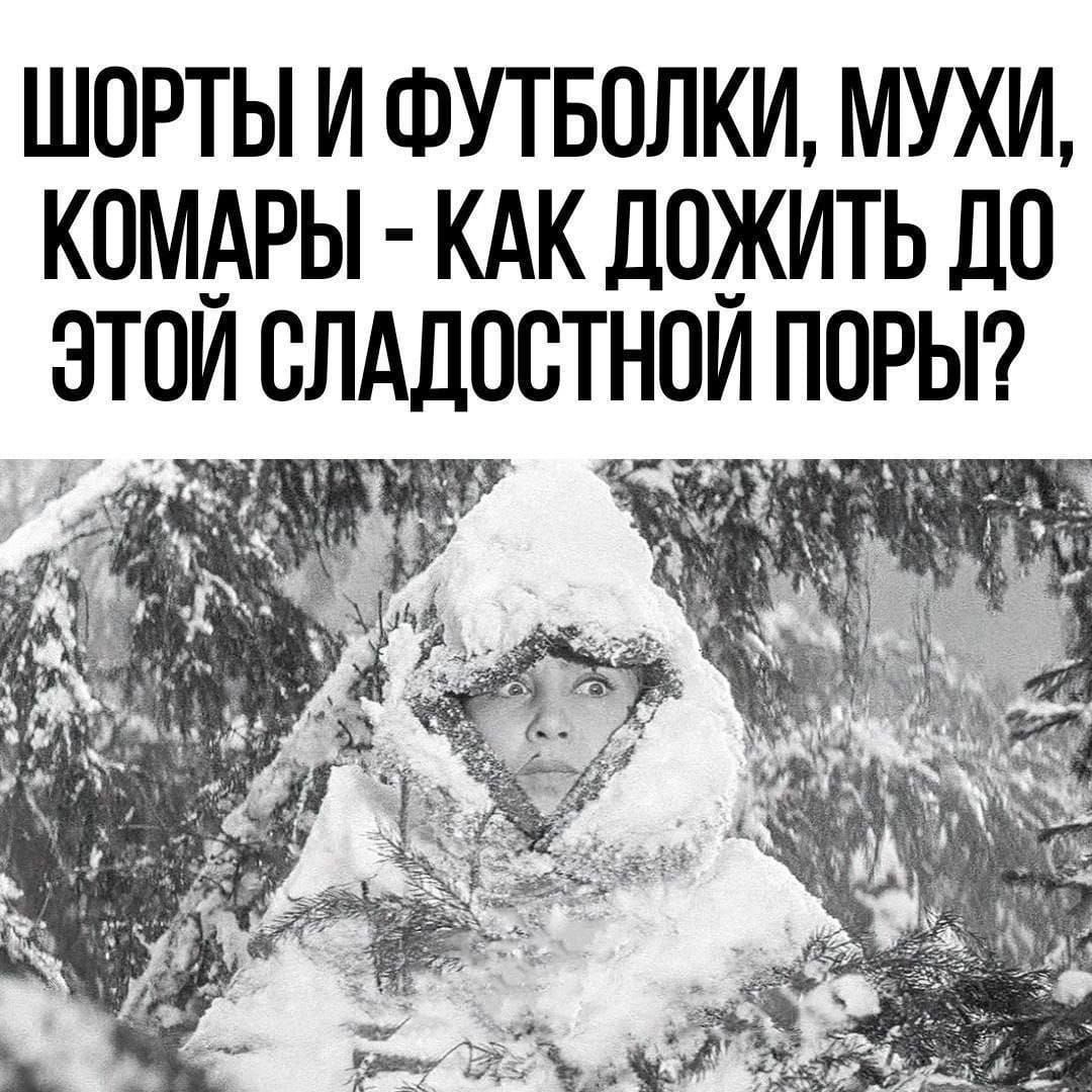 ШОРТЫ И ФУТБОЛКИ, МУХИ, КОМАРЫ - КАК ДОЖИТЬ ДО ЭТОЙ СЛАДОСТНОЙ ПОРО?