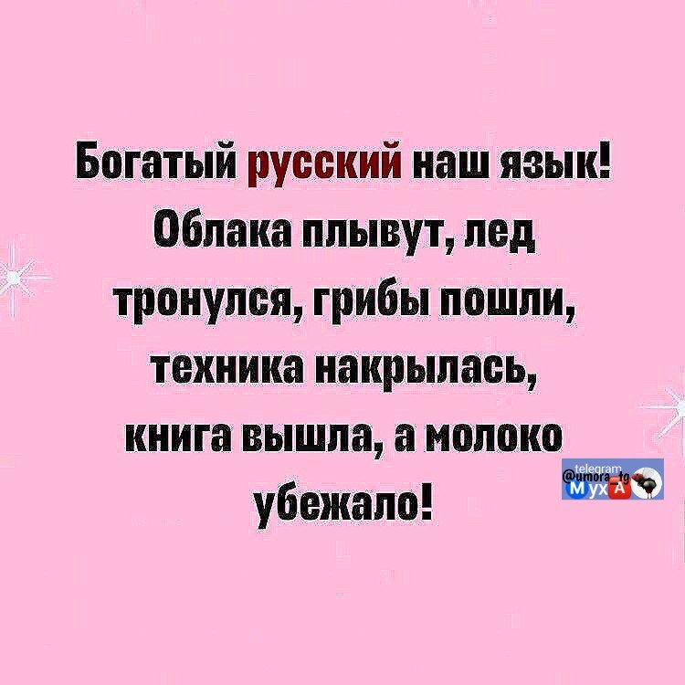Богатый русский наш язык! Облака плывут, лед тронулся, грибы пошли, техника накрылась, книга вышла, а молоко убежало!
