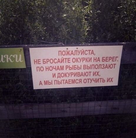 ПОЖАЛУЙСТА, НЕ БРОСАЙТЕ ОКУРКИ НА БЕРЕГ. ПО НОЧАМ РЫБЫ ВЫПОЛЗАЮТ И ДОКУРИВАЮТ ИХ, А МЫ ПЫТАЕМСЯ ОТУЧИТЬ ИХ