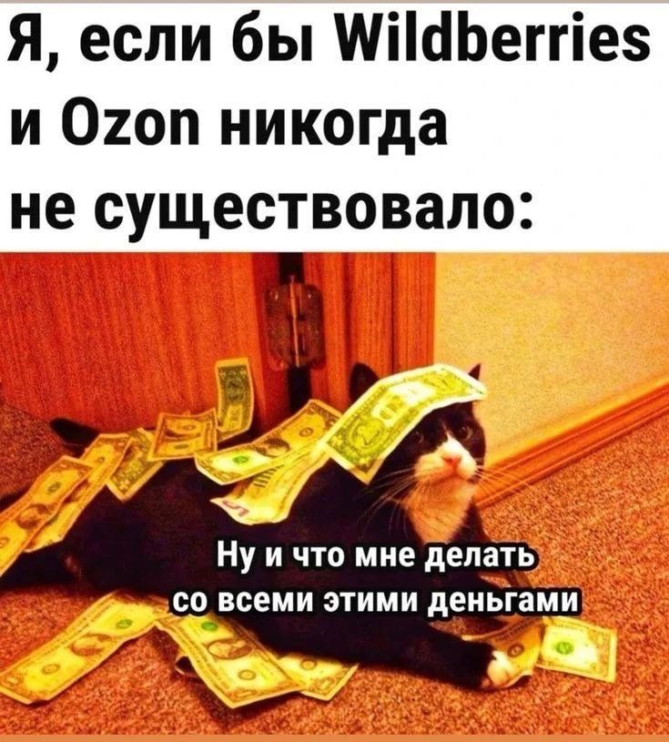 Я, если бы Wildberries и Ozon никогда не существовало:
Ну и что мне делать со всеми этими деньгами