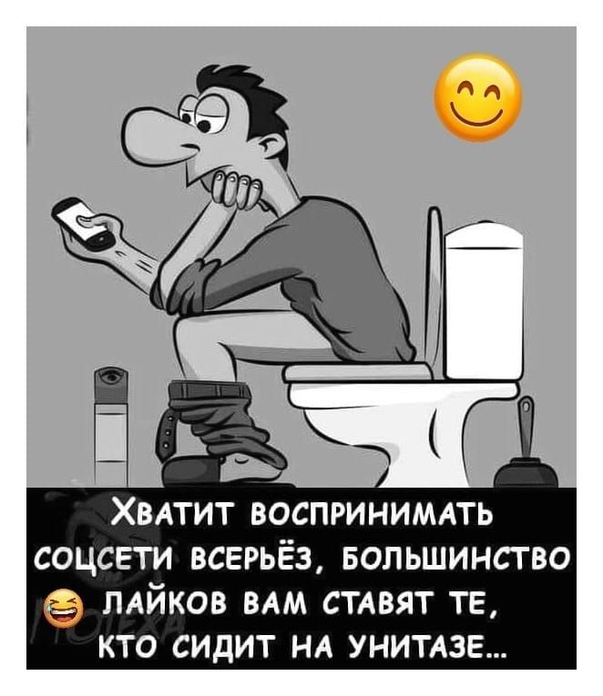 Хватит воспринимать соцсети всерьёз, большинство лайков вам ставят те, кто сидит на унитазе...