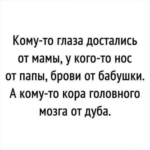 Кому-то глаза достались
от мамы, у кого-то нос
от папы, брови от бабушки.
А кому-то кора головного мозга
от дуба.