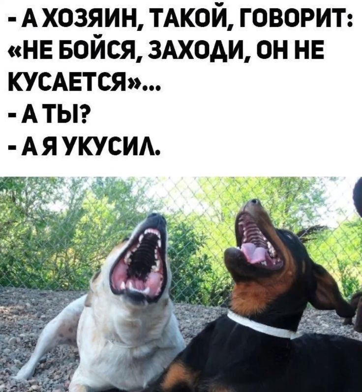 - А ХОЗЯИН, ТАКОЙ, ГОВОРИТ: «НЕ БОЙСЯ, ЗАХОДИ, ОН НЕ КУСАЕТСЯ»... - А ТЫ? - А Я УКУСИЛ.