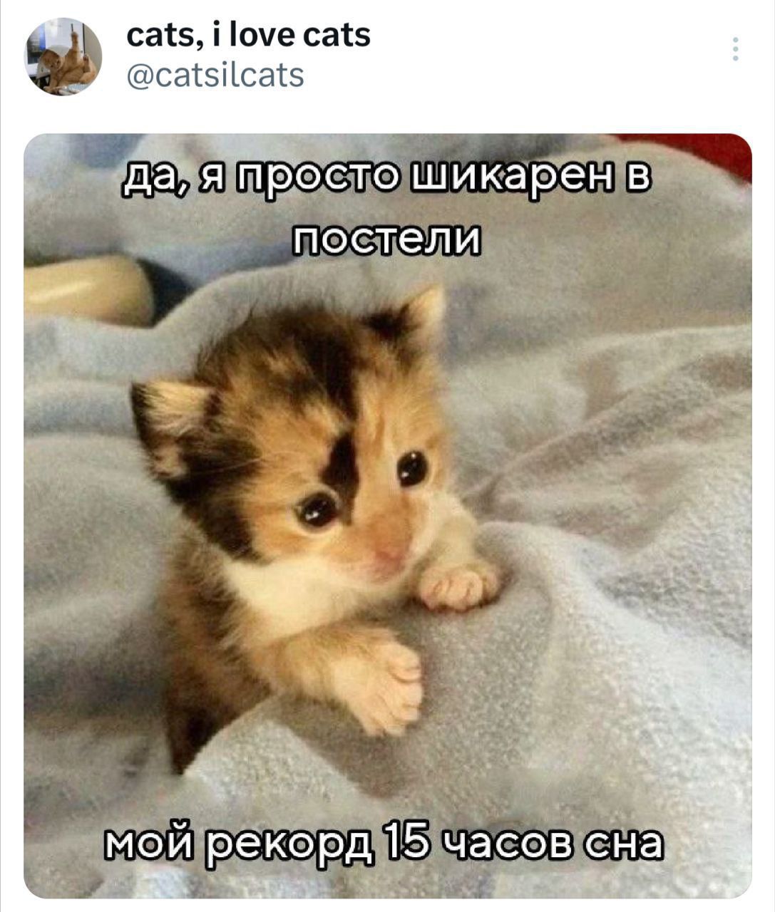 да, я просто шикарен в постели
мой рекорд 15 часов сна