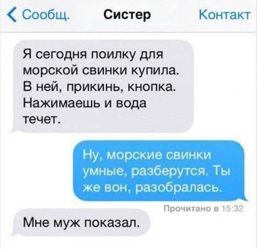 Я сегодня поилка для морской свинки купила. В ней, прикн, кнопка. Нажимаешь и вода течет.
Ну, морские свинки умные, разберутся. Ты же вот, разобрался.
Мне муж показал.