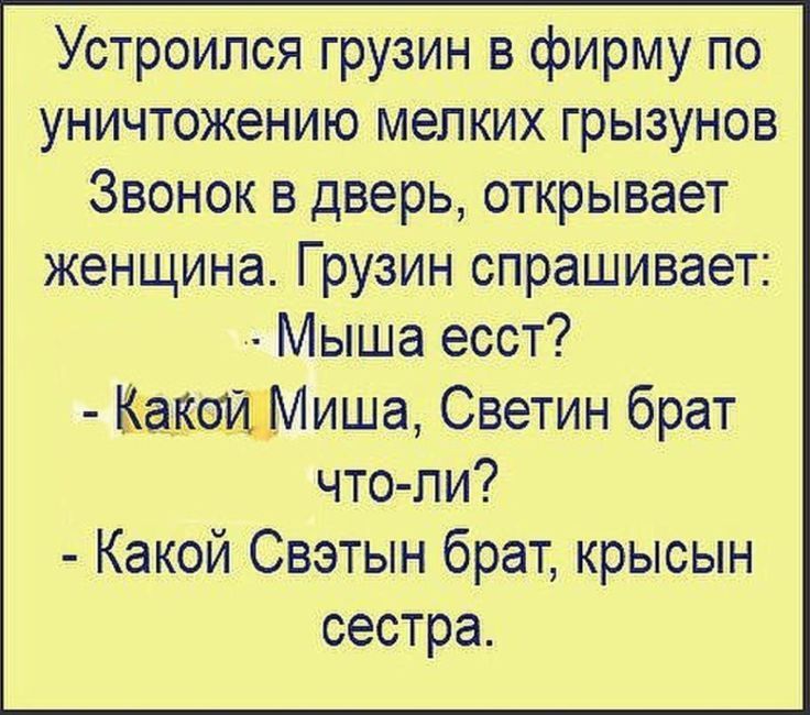 Устроился грузин в фирму по уничтожению мелких грызунов Звонок в дверь, открывает женщина. Грузин спрашивает: - Мыша есть? - Какой Миша, Светин брат что-ли? - Какой Светын брат, крысы сын сестра.