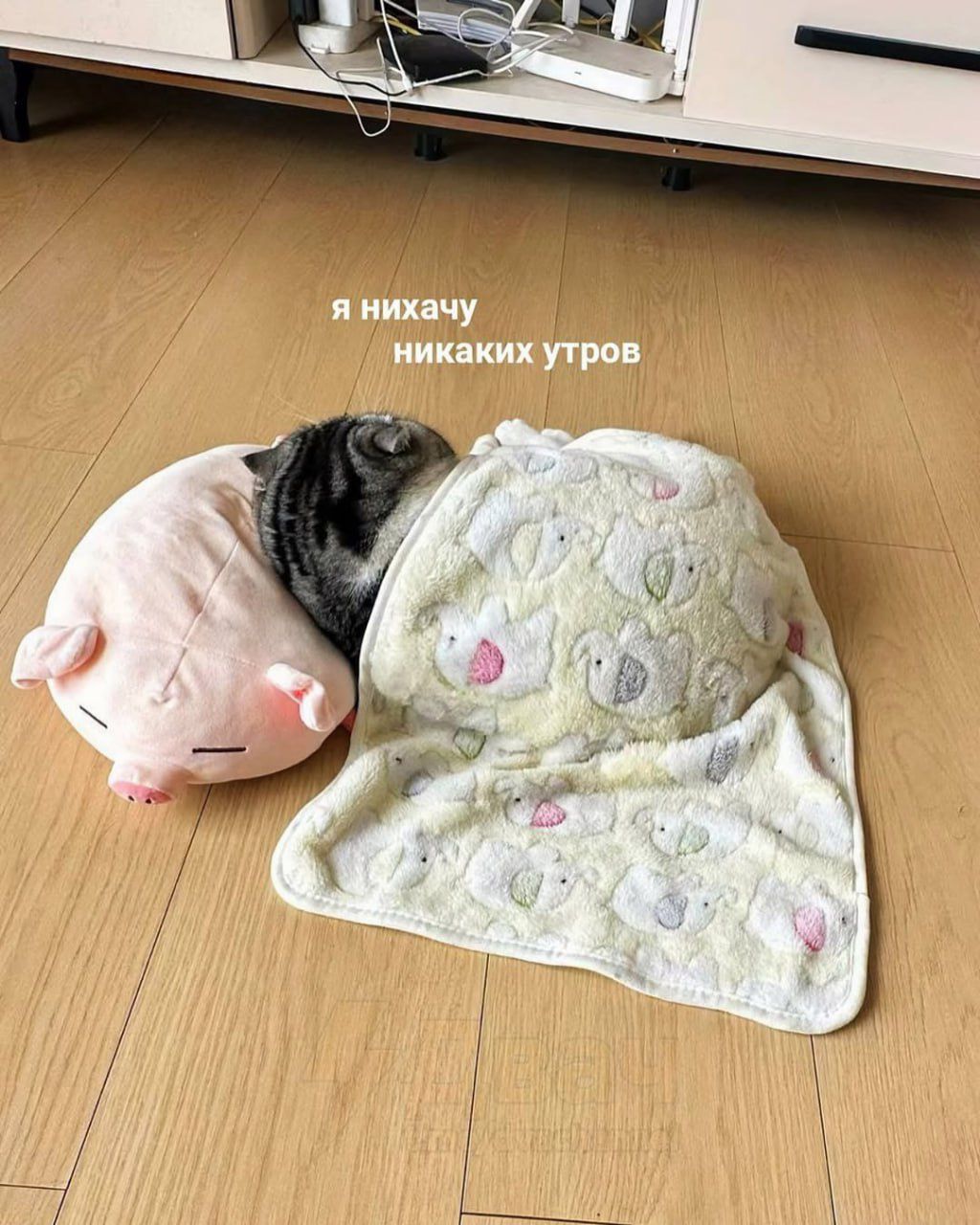 Я ничего никаких утров