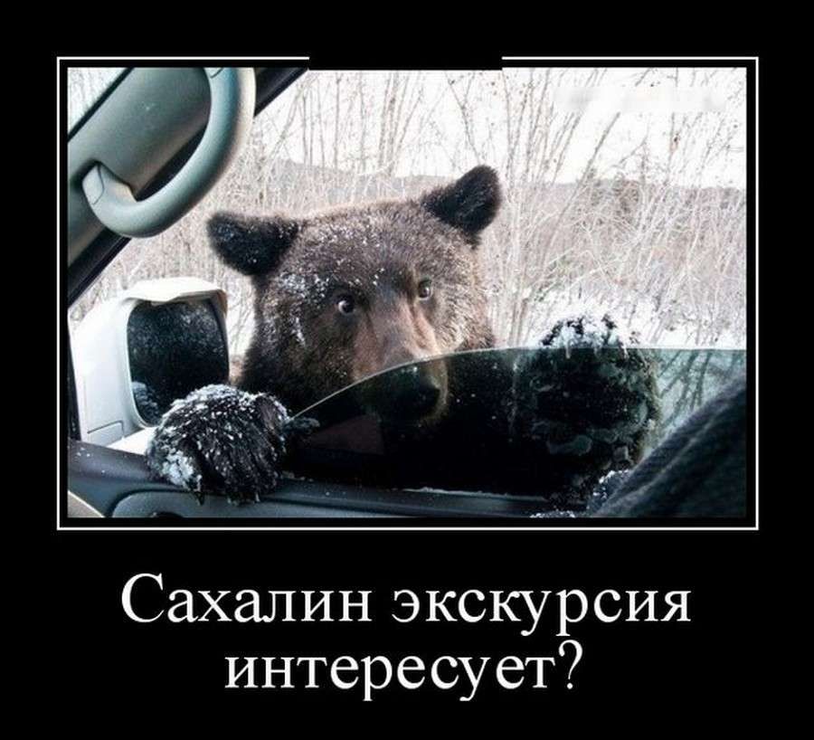 Сахалин экскурсрия интересует?