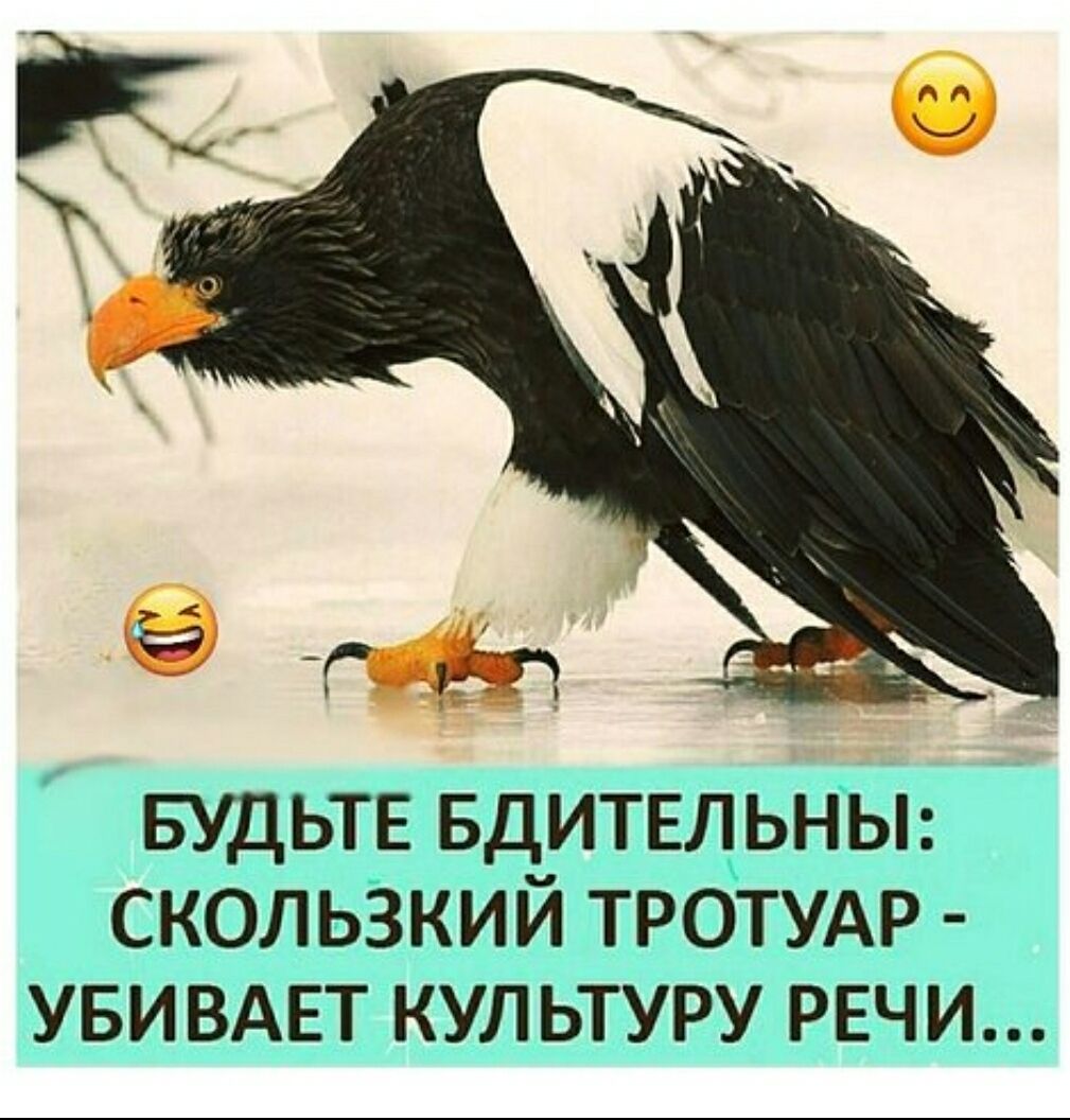 БУДЬТЕ БДИТЕЛЬНЫ: СКользкий тротуар - УБИВАЕТ КУЛЬТУРУ РЕЧИ...
