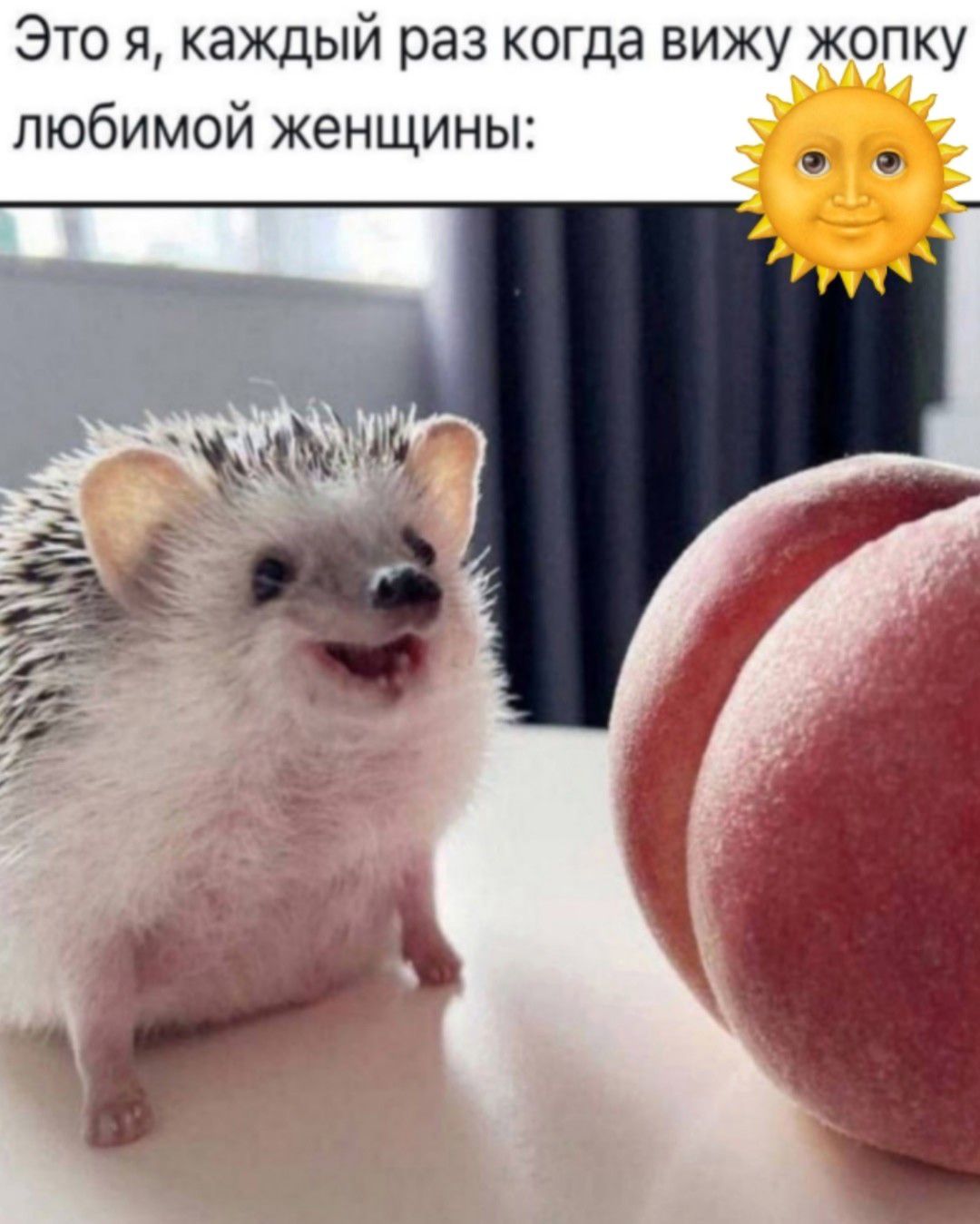 Это я, каждый раз когда вижу жопку любимой женщины: 🌞