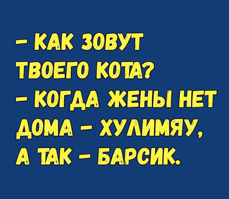 - КАК ЗОВУТ ТВОЕГО КОТА?\n- КОГДА ЖЕНЫ НЕТ ДОМА - ХУЛИМЯУ, А ТАК – БАРСИК.