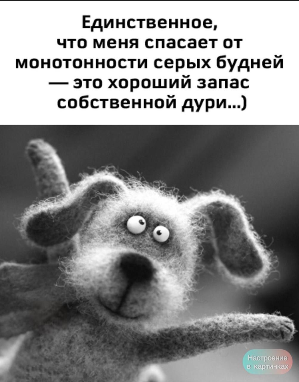 Единственное, что меня спасает от монотонности серых будней — это хороший запас собственной дури...