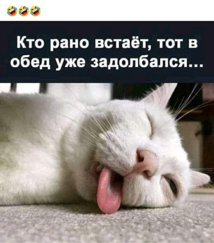 Кто рано встаёт, тот в обед уже задолбался...