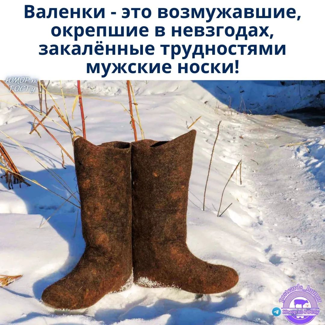 Валёнки - это возмужавшие, окрепшие в невзгодах, закалённые трудностями мужские носки!