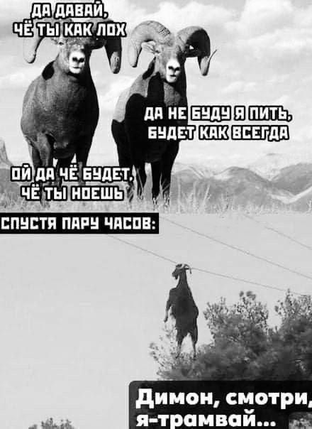 ДА ДАВАЙ, ЧЁ ТЫ КАК ЛОХ
ДА НЕ БУДУ Я ПИТЬ, БУДЕТ КАК ВСЕГДА
ОЙ ДА ЧЁ БУДЕТ, ЧЁ ТЫ НОШЬ
СПУСТЯ ПАРУ ЧАСОВ:
ДИМОН, СМОТРИ, Я — ТРАМВАЙ...