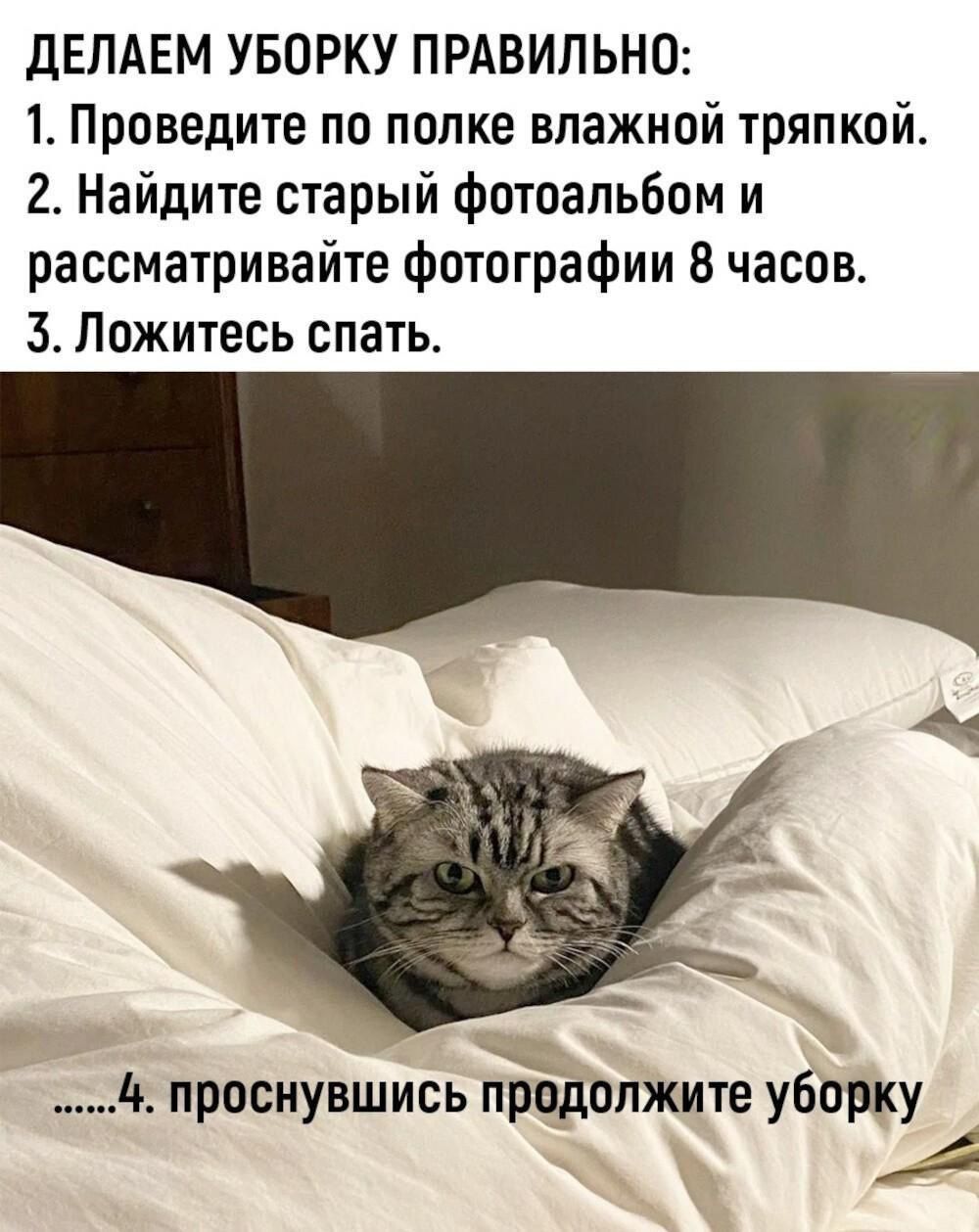 ДЕЛАЕМ УБОРКУ ПРАВИЛЬНО:
1. Проведите по полке влажной тряпкой.
2. Найдите старый фотоальбом и рассматривйте фотографии 8 часов.
3. Ложитесь спать.
4. проснувшись продолжите уборку