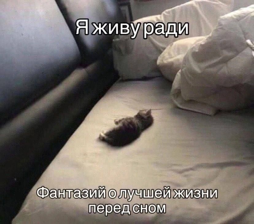 Я живу ради
Фантазий о лучшей жизни перед сном