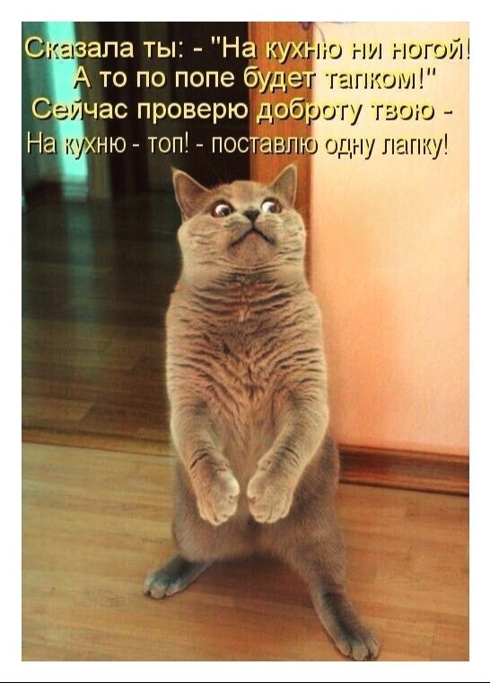 Сказала ты: - 