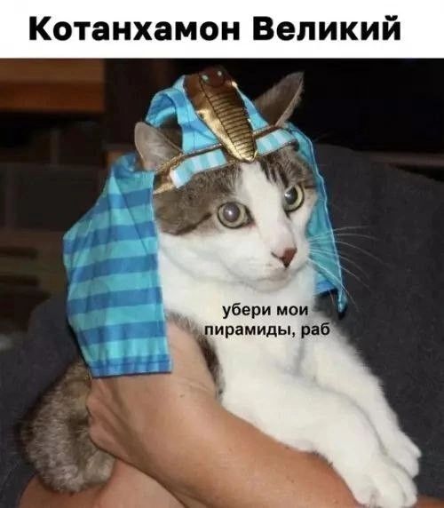 Котанхаман Великий
убери мои пирамиды, раб