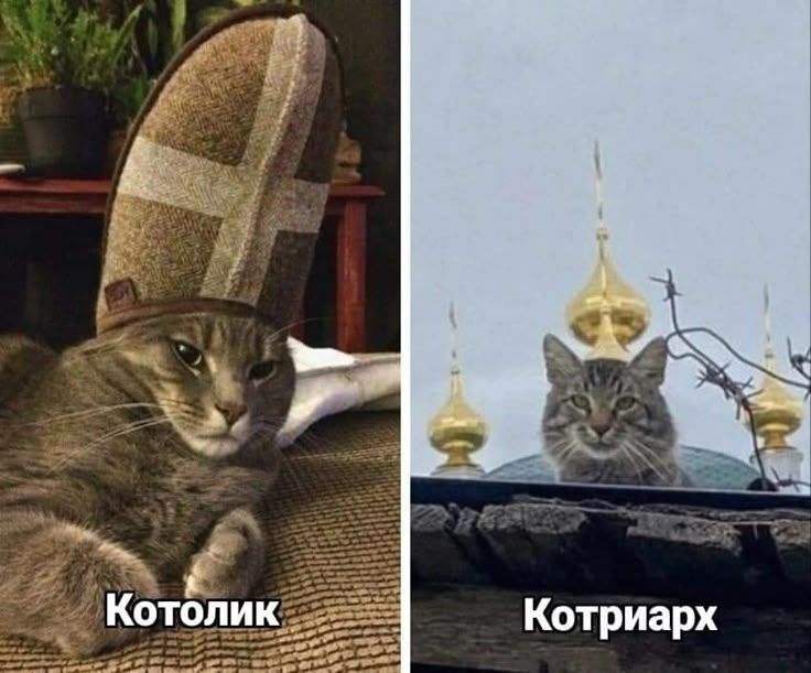 Котолик\nКотриарх