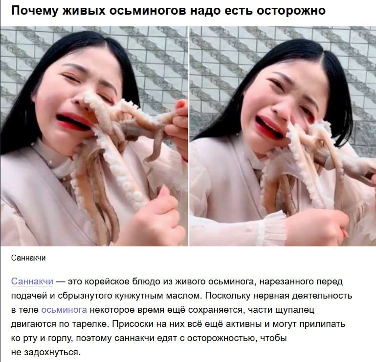 Почему живых осьминогов надо есть осторожно
Саннаки — это корейское блюдо из живого осьминога, нарезано перед подачей и сбрызнуто кунжутным маслом. Поскольку нервная деятельность в теле осьминога некоторое время ещё сохраняется после смерти, движение их щупалец может сохраняться, и куски могут прилипать к рту и горлу, поэтому саннаки едят с осторож
